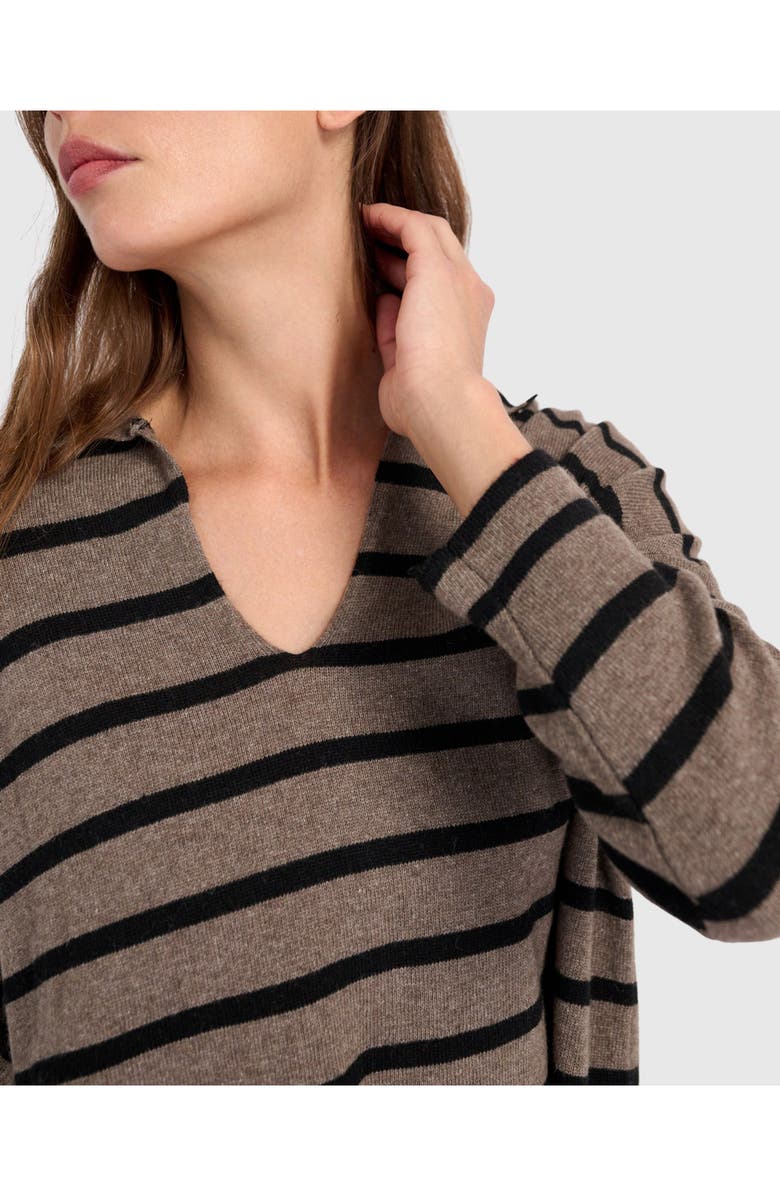 Alembika Surfside Collared Sweater, Alternate, color, Latte Stripes