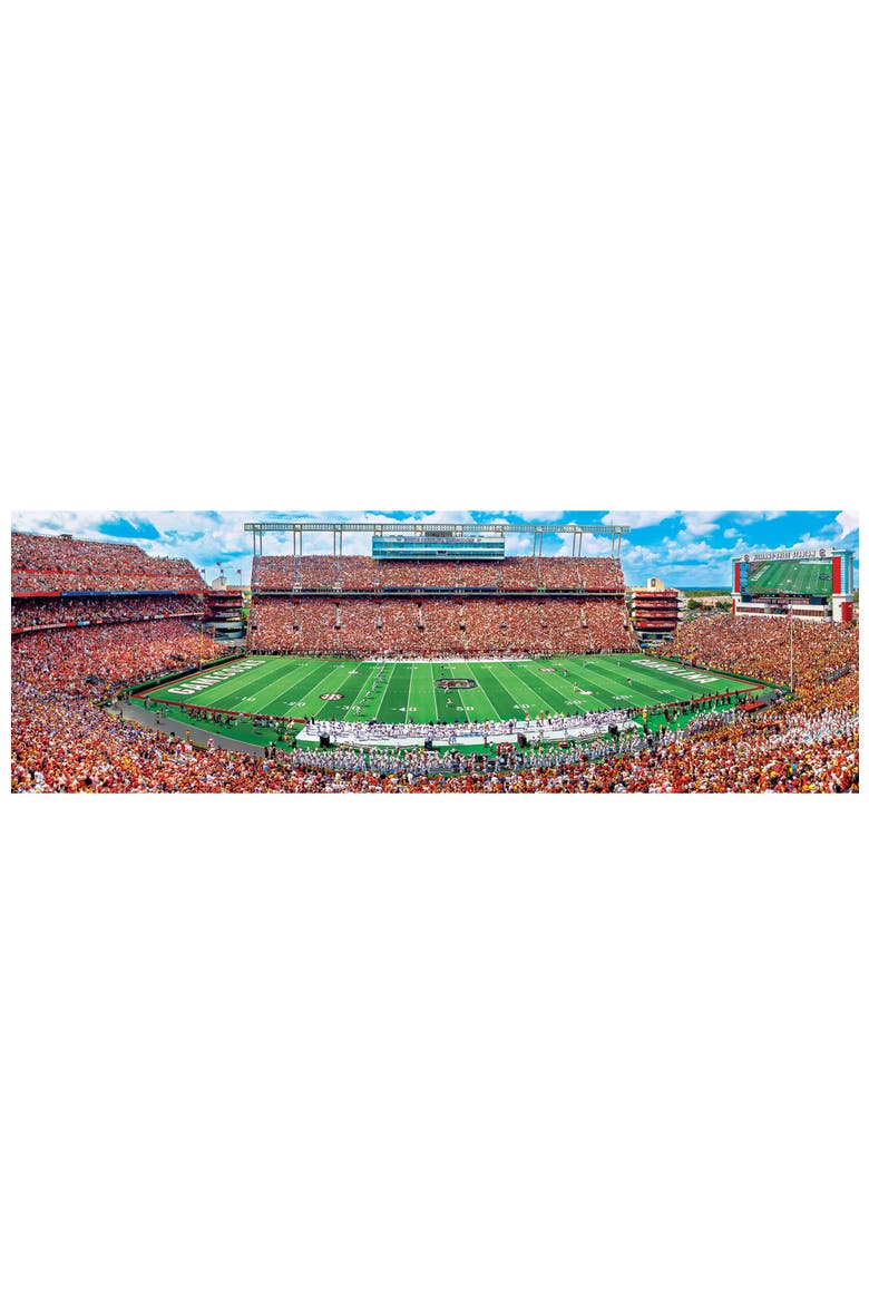 South Carolina 1000pc Panoramic Puzzle, Alternate, color, Multicolor