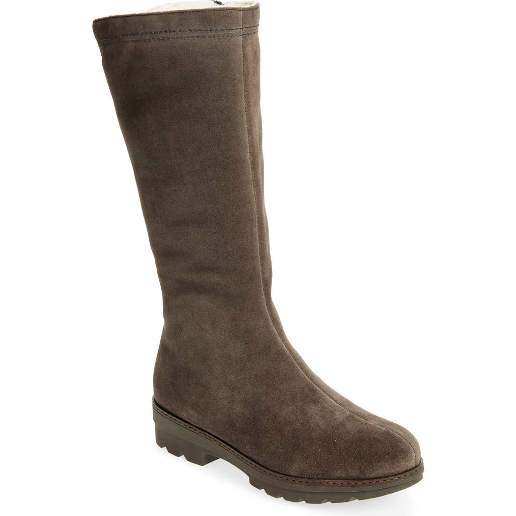 La Canadienne Villa Waterproof Faux Shearling Lined Tall Boot In Brown