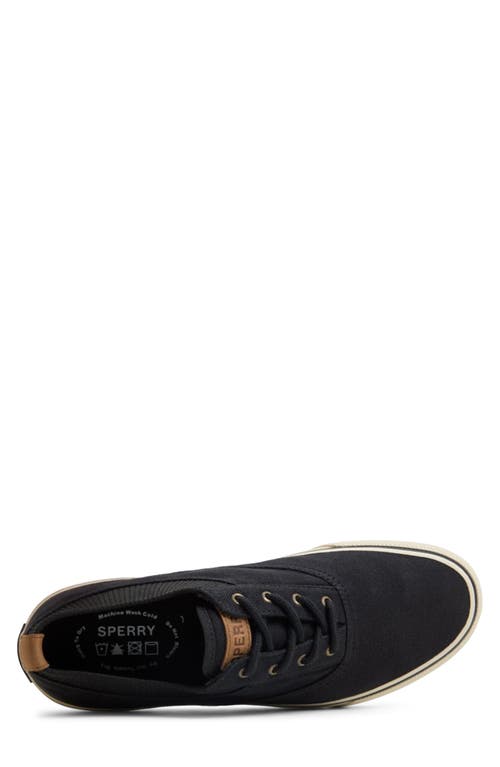 Sperry Top-sider® Sperry Striper Ii Cvo Sneaker In Black
