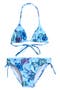 selected Summer Chintz