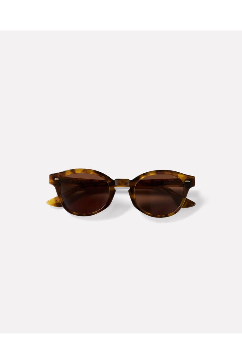 Coil Sunglasses, Alternate, color, Light Tortoise
