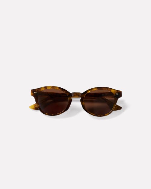 Epokhe Coil Sunglasses In Brown