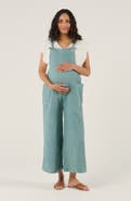 Cache Coeur Maternity and Nursing Dungaree Maya