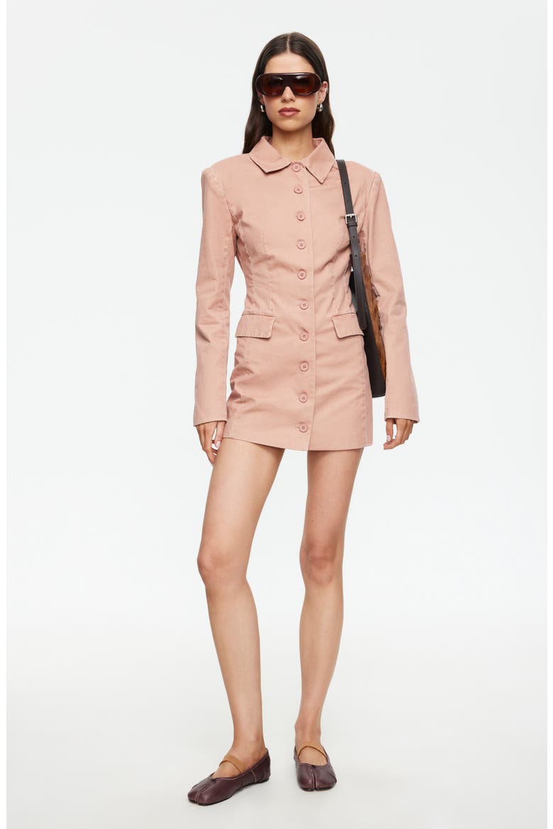 Cheri Long Sleeve Minidress, Alternate, color, ROSE