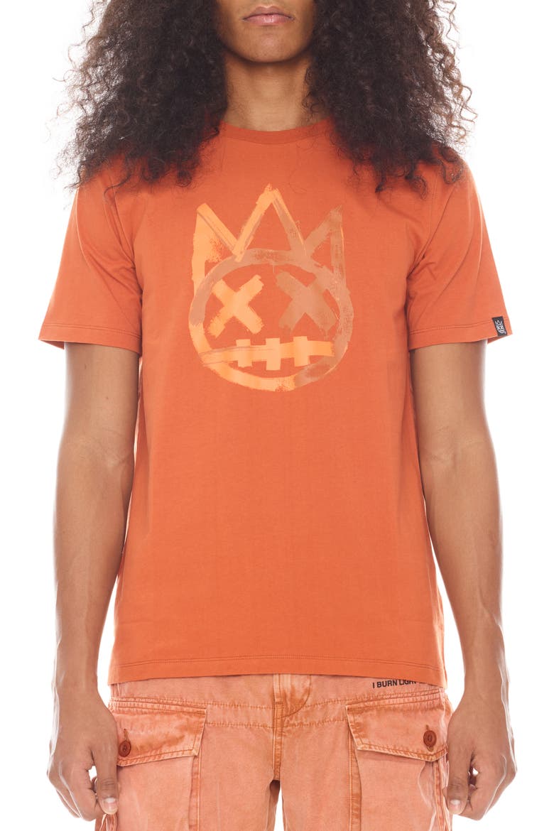 Paintbrush Shimuchan Logo Graphic T-Shirt, Main, color, RUST