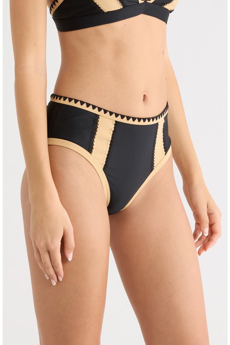 Mallory Embroidered Bikini Bottoms, Alternate, color, BLACK COLORBLOCK