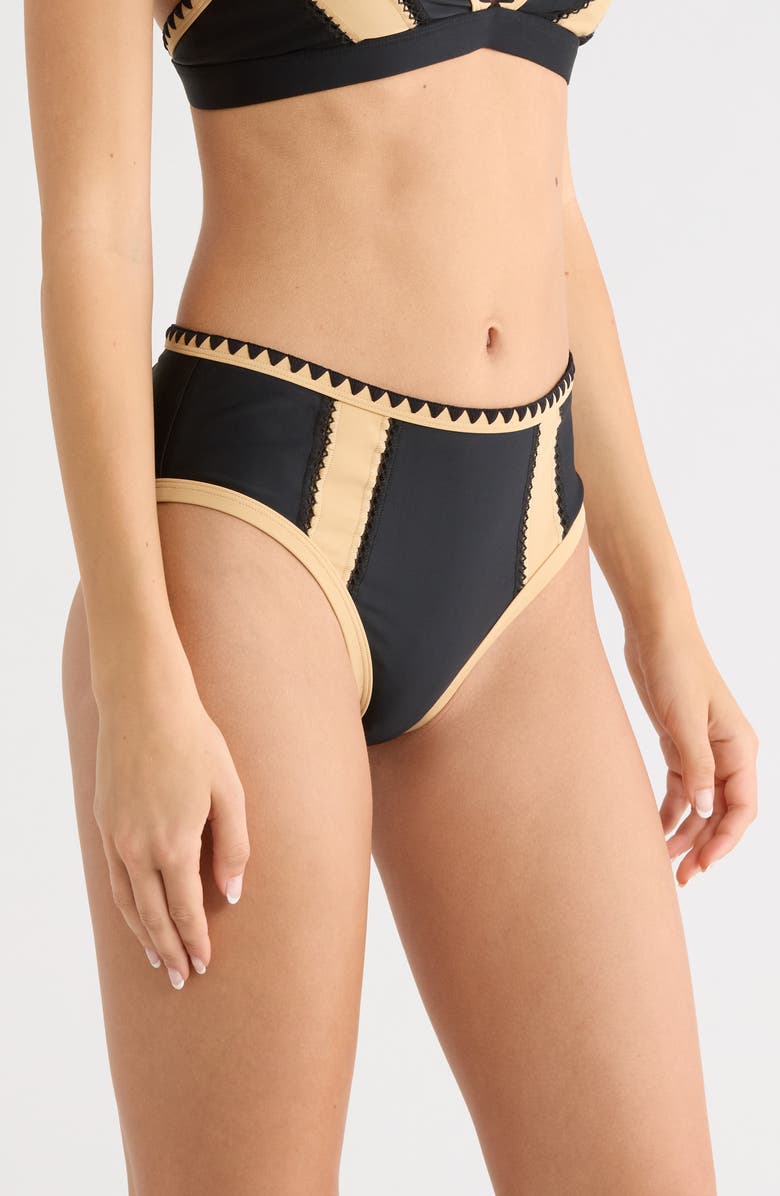 Ramy Brook Mallory Embroidered Bikini Bottoms, Alternate, color, Black Colorblock
