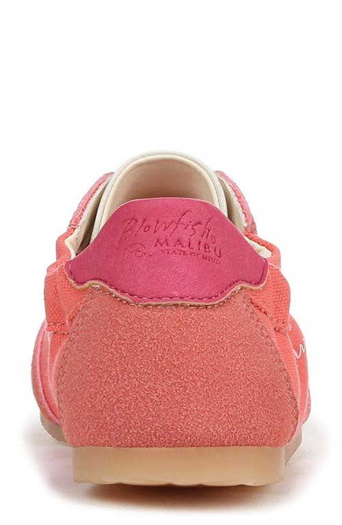BLOWFISH MALIBU BLOWFISH MALIBU LANA SLIP-ON SNEAKER