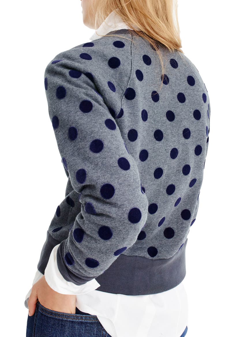 J.Crew Textured Polka Dot Raglan Sweatshirt, Alternate, color, HEATHER QUARTZ NAVY