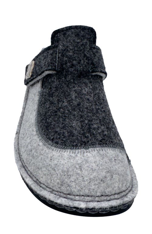 FINN COMFORT FINN COMFORT ANTHOLZ WOOL CLOG 