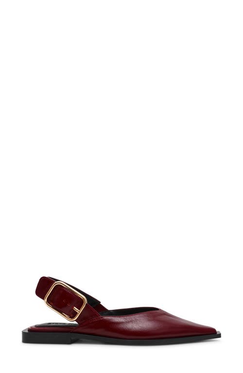 Steve Madden Shay Pointed Toe Slingback Flat In Burgundy