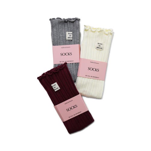 Belle & Bloom Beloved 3 Pack Socks In Multi