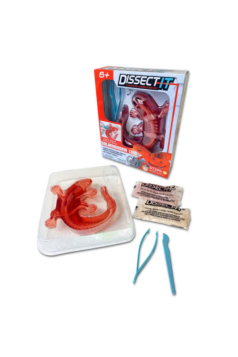Dissect It Salamander Lab Synthetic Dissection Kit, Alternate, color, Multicolored