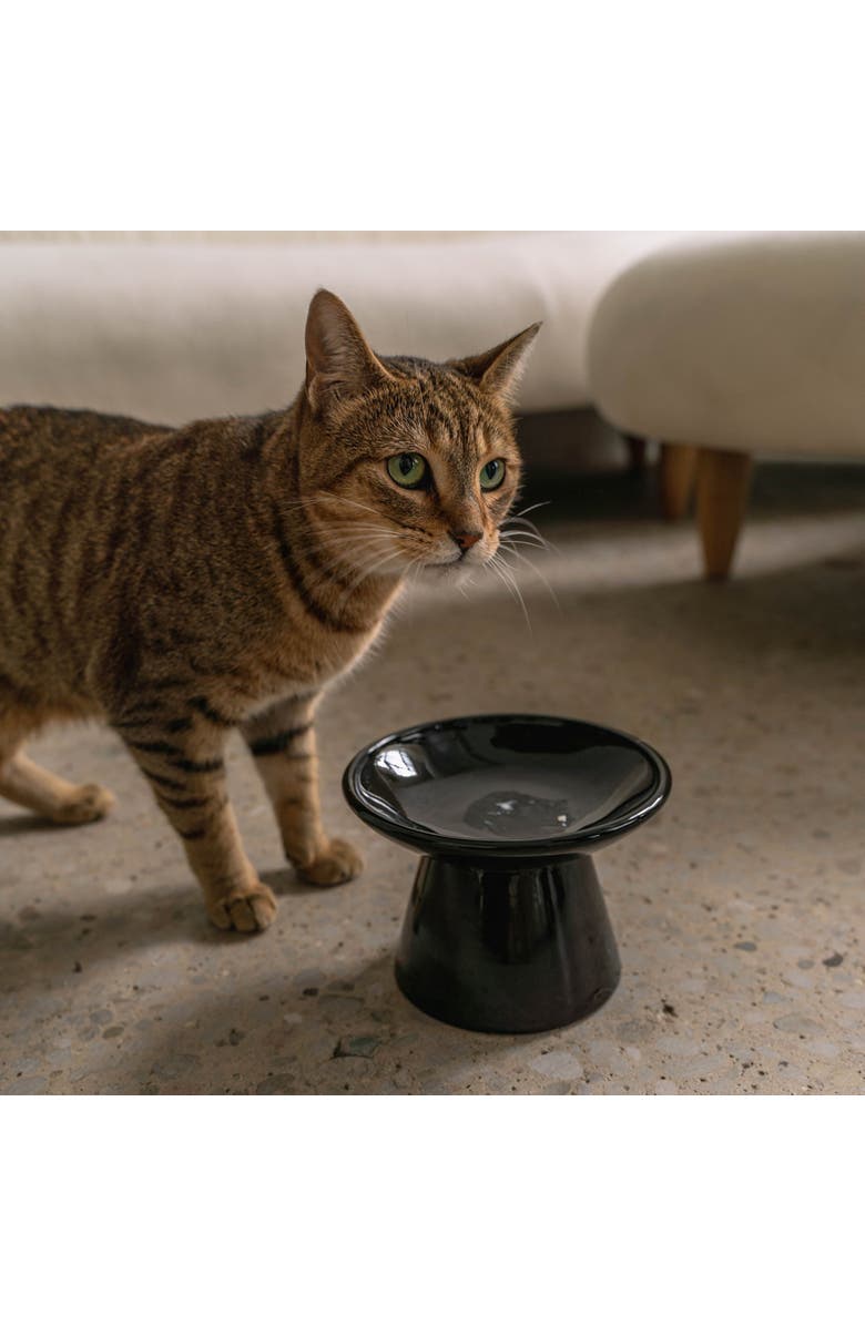 Dexypaws Flat Top Ceramic Bowl For Cats Black 7.5oz Capacity, Alternate, color, Black