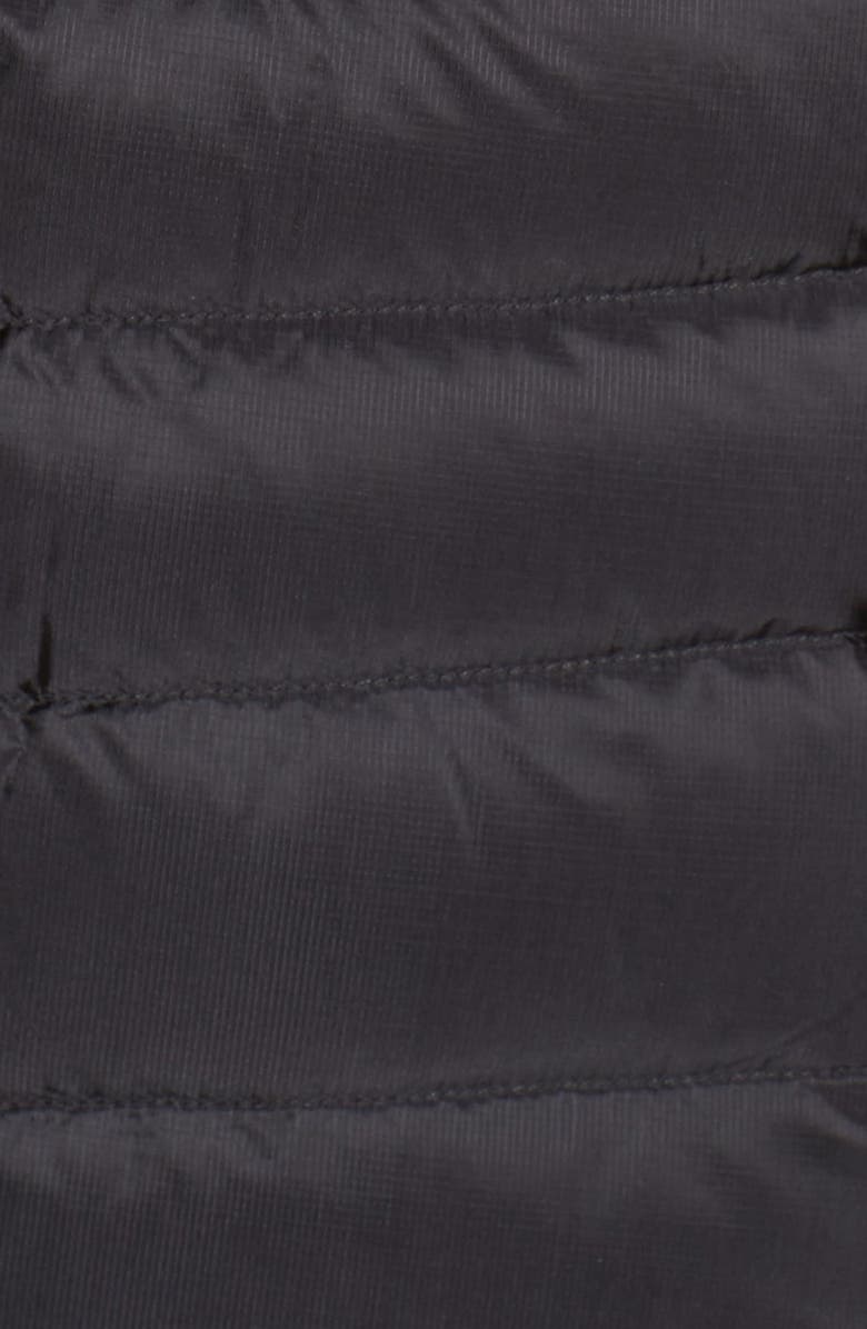 Arc'teryx Cerium Water Resistant Down Jacket, Alternate, color, 