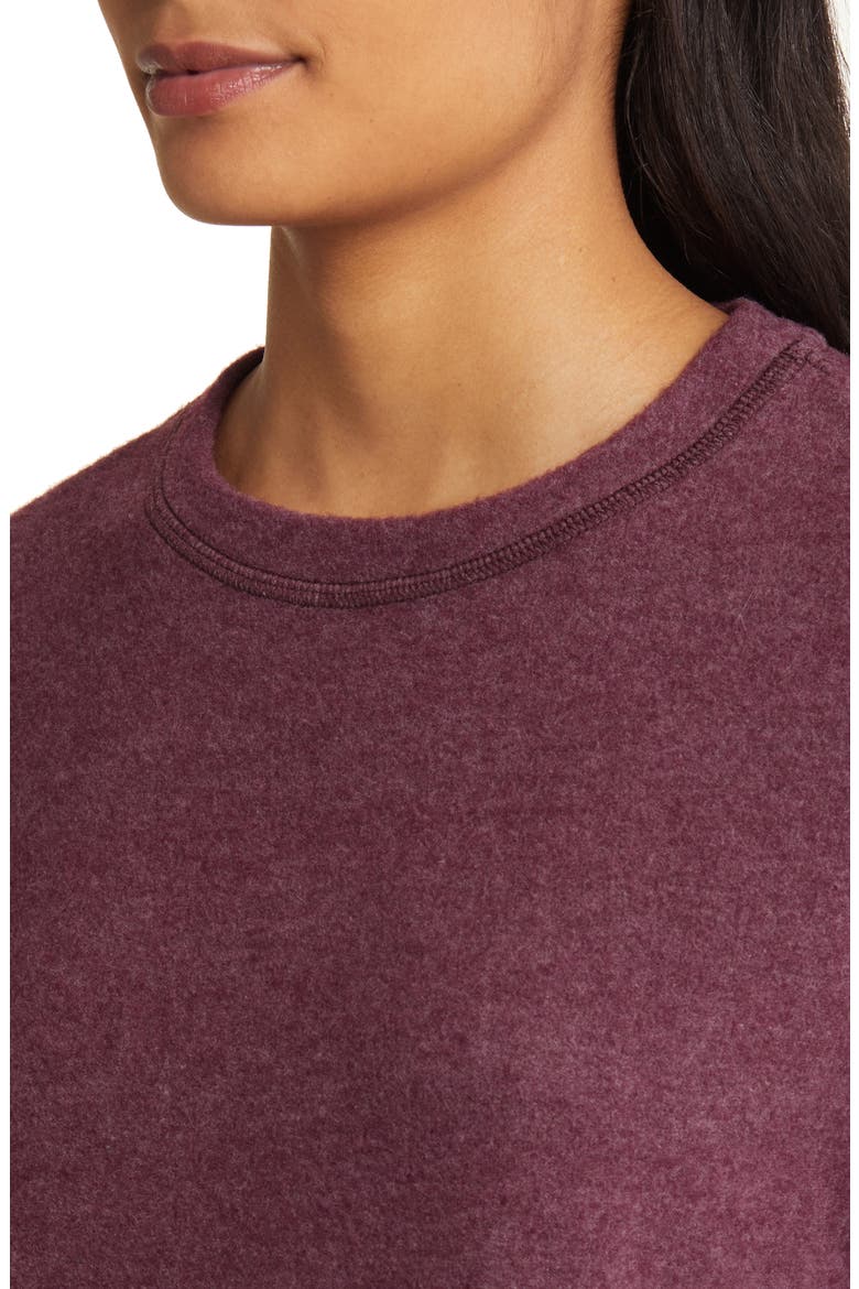Cozy Crewneck Long Sleeve Top, Alternate, color, BURGUNDY