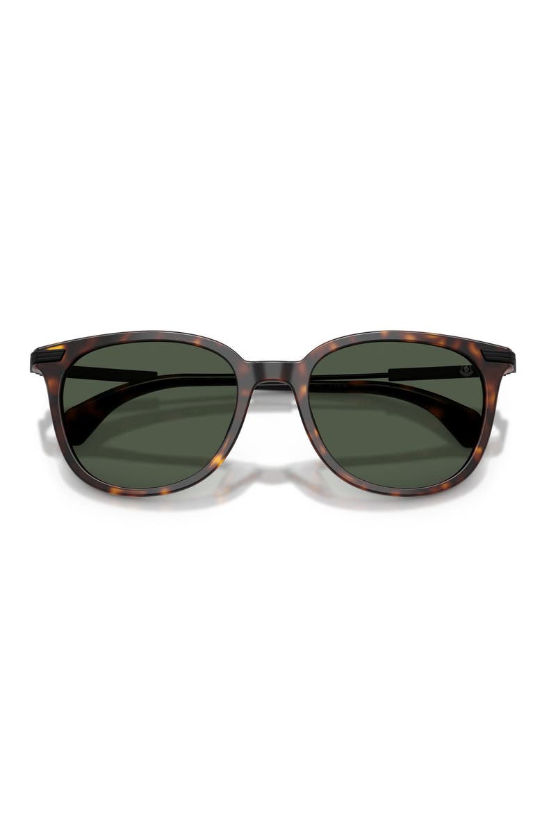 Kora 53mm Polarized Oval Sunglasses, Alternate, color, HAVANA / POLAR SOLID GREEN