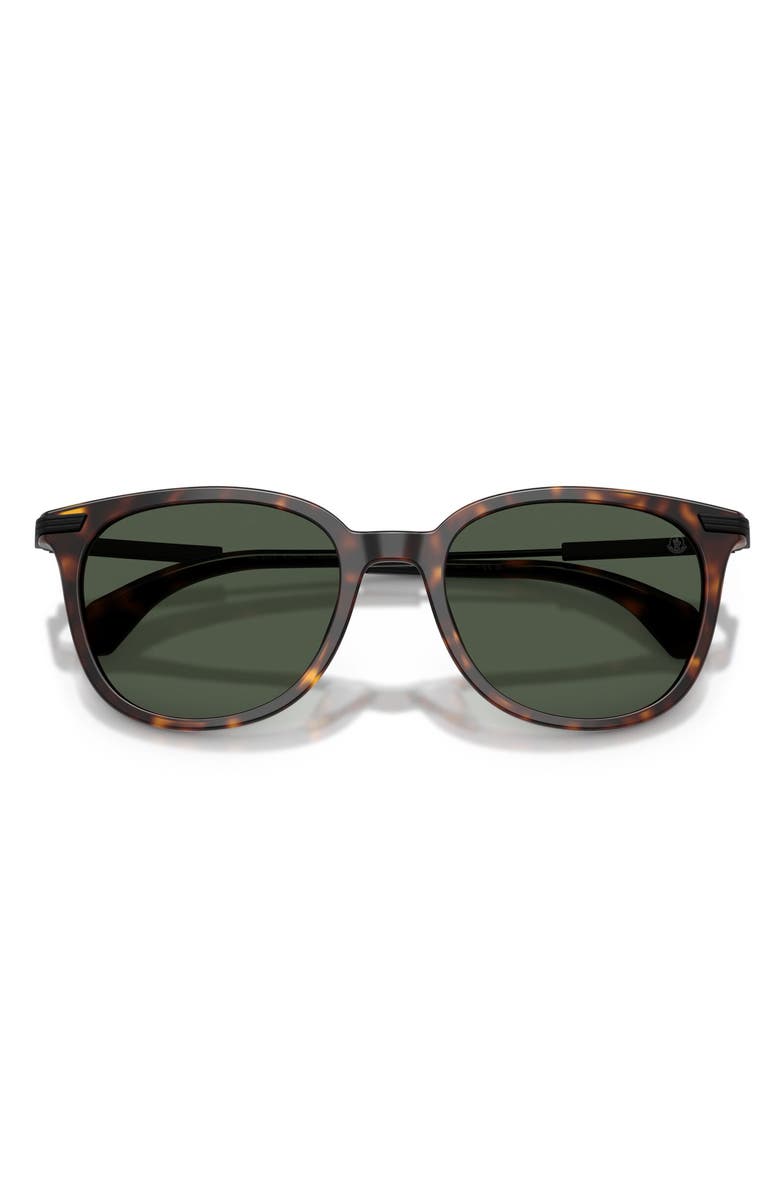 Moncler Kora 53mm Polarized Oval Sunglasses, Alternate, color, Havana / Polar Solid Green