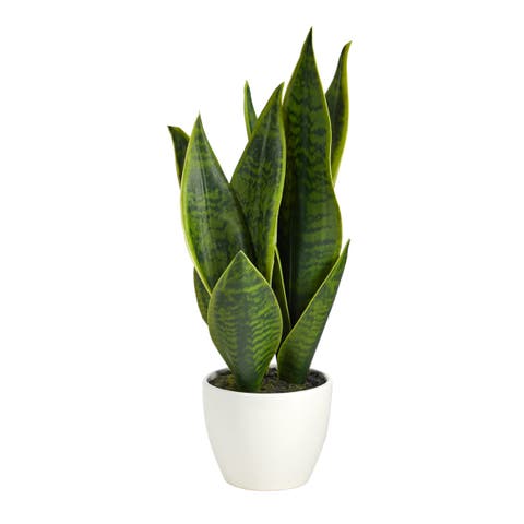16-in Artificial Sansevieria Snake Plant