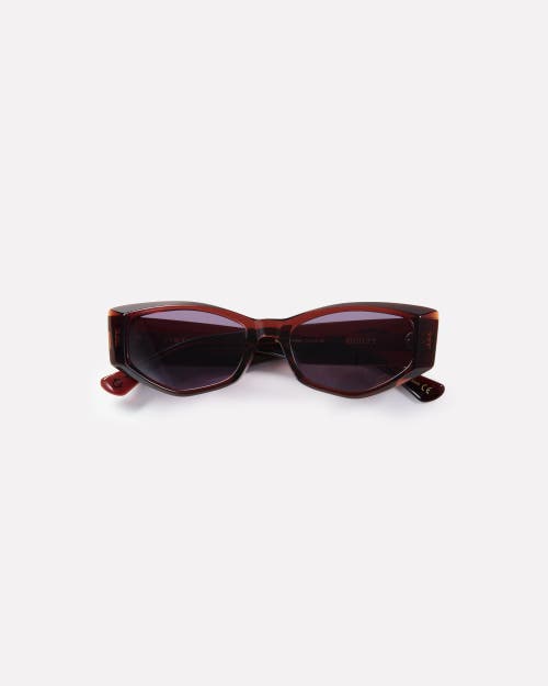 Epokhe Guilty Sunglasses In Brown