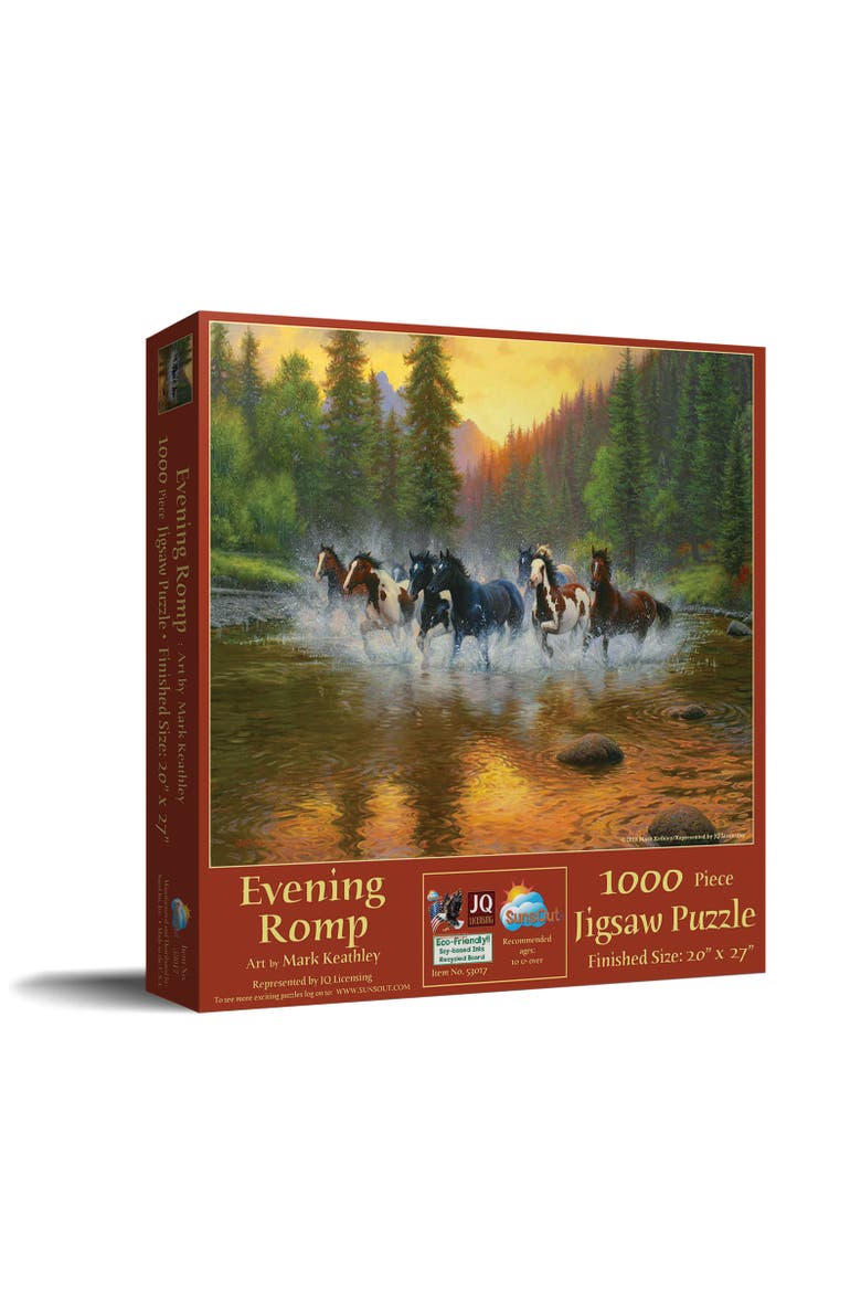 Evening Romp 1000 piece Jigsaw Puzzle for Adults, Main, color, Multicolor