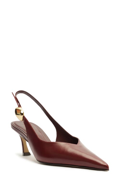 Arezzo Farrah Slingback Pointed Toe Pump In Burgundy