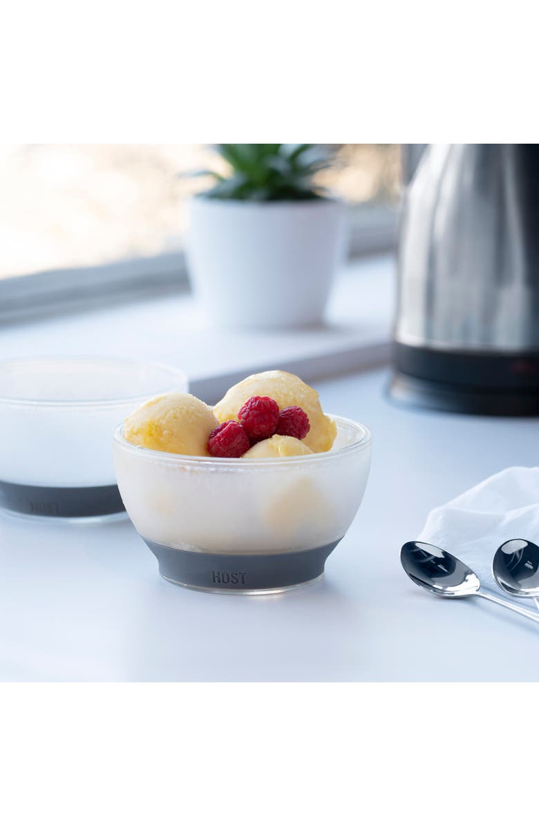 HOST Ice Cream FREEZE Cooling Bowl Set of 2, Alternate, color, Gray