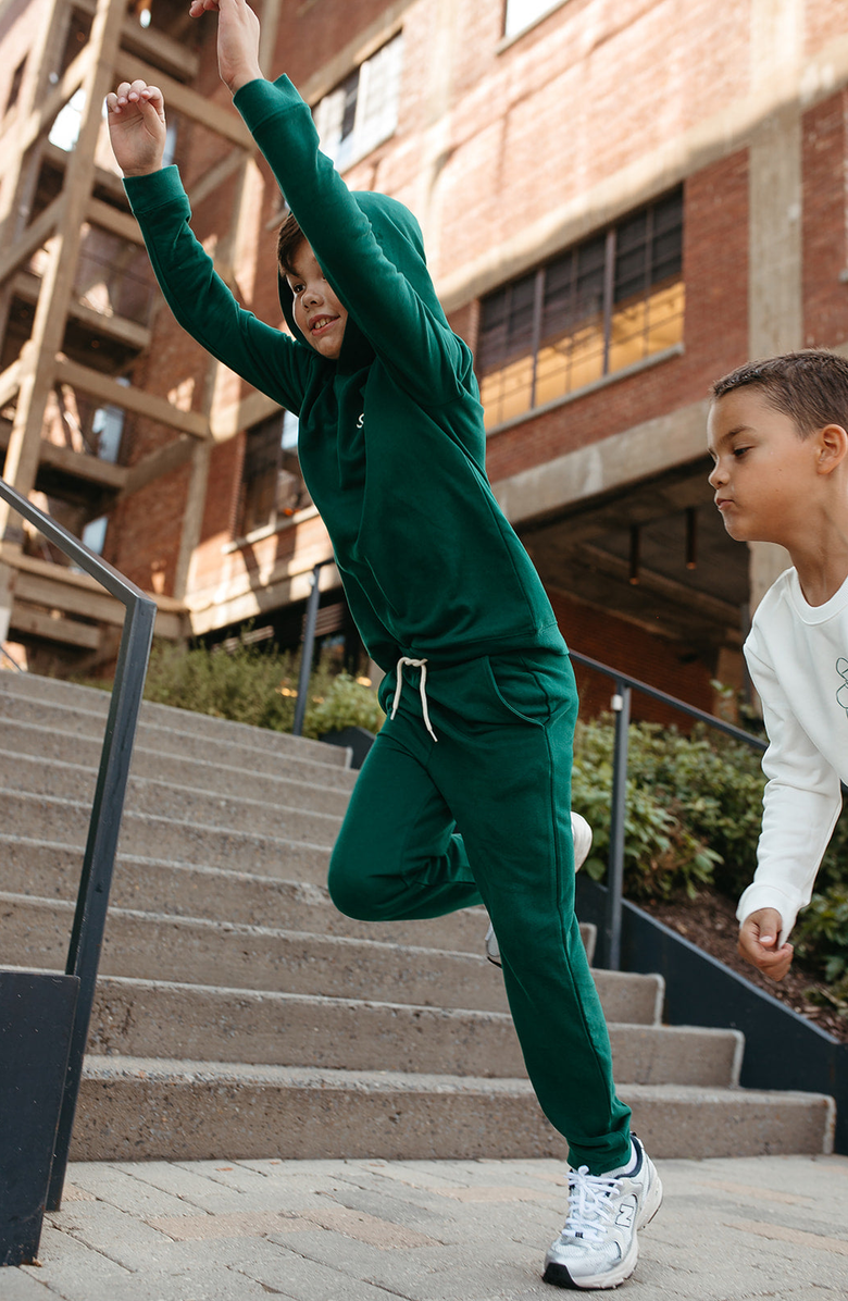 Little Paper Kids Hayes Hoodie, Alternate, color, 