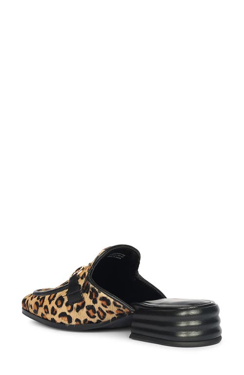 Saint G Savannah Genuine Calf Hair Mule In Multi