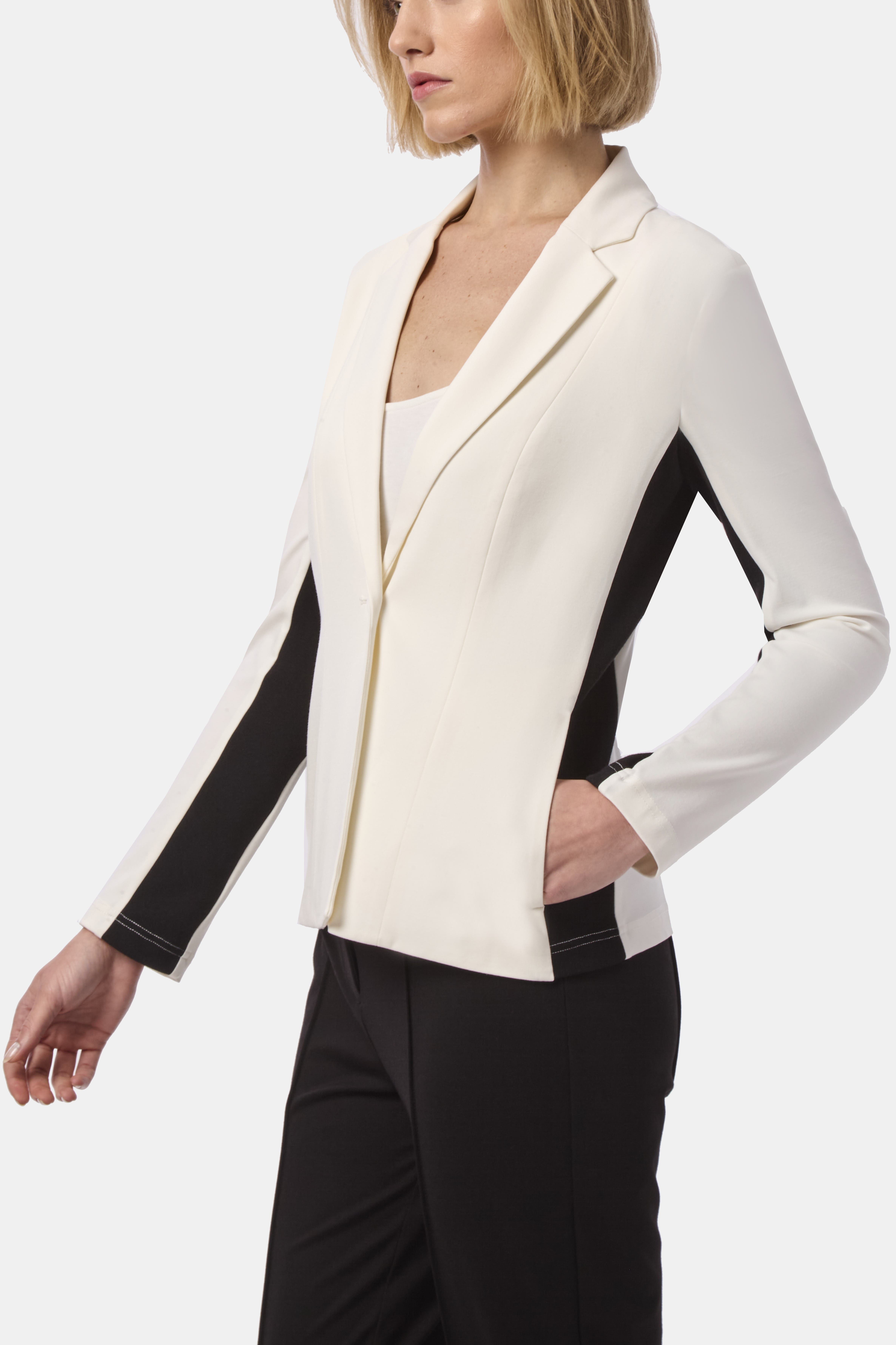 THE PROTRON BLAZER - image 2