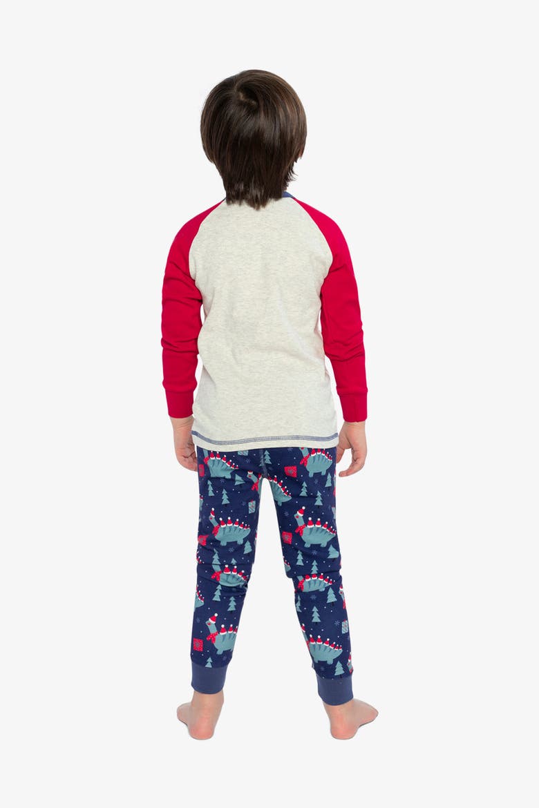 Organic Cotton Dinosaur Top Pants Two Piece Pajama Set, Alternate, color, Blue Dinosaur Print
