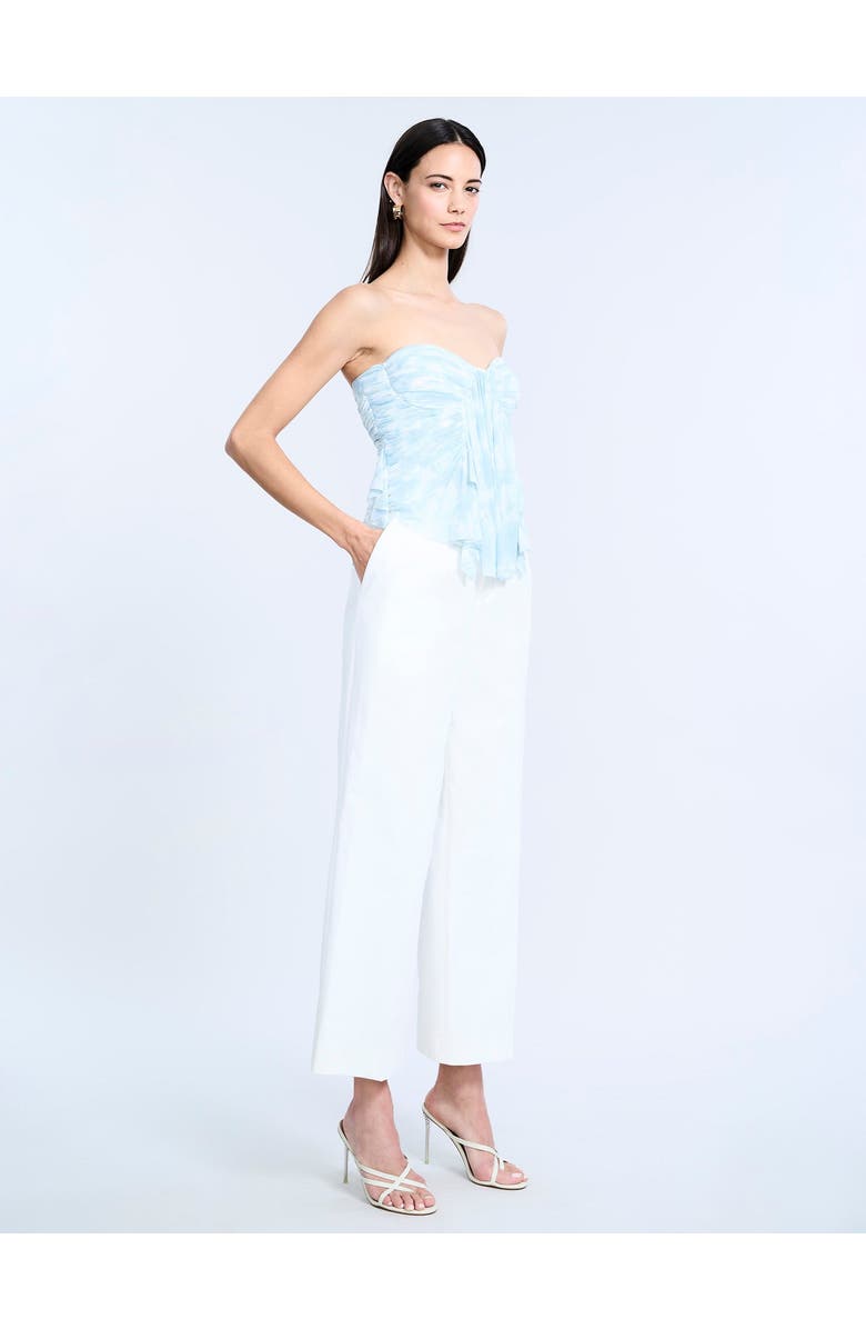 BCBGMAXAZRIA Printed Mesh Corset, Alternate, color, Sky Floral Print