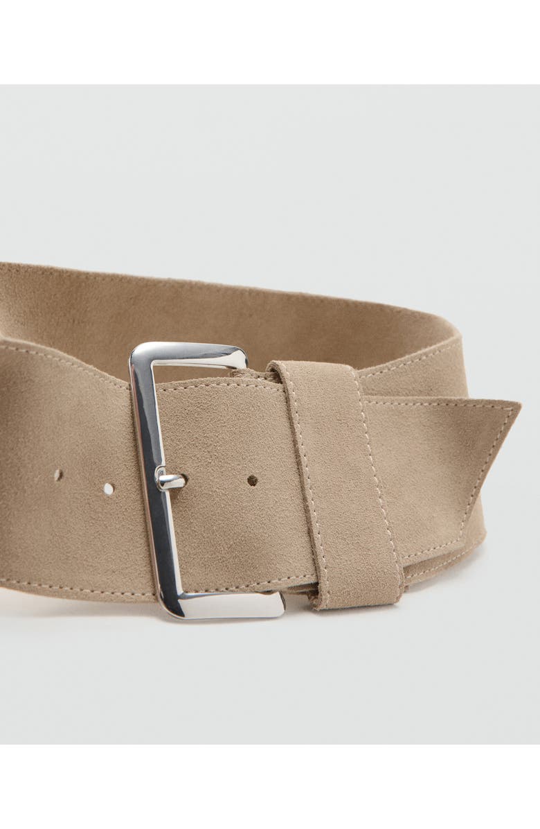 MANGO Wide Suede Belt, Alternate, color, Sand