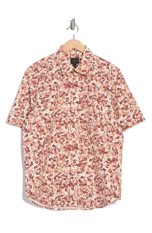 14th & Union Floral Cotton Poplin Short Sleeve Button-up Shirt
