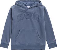 Champion Kids' Washed Embroidered Hoodie