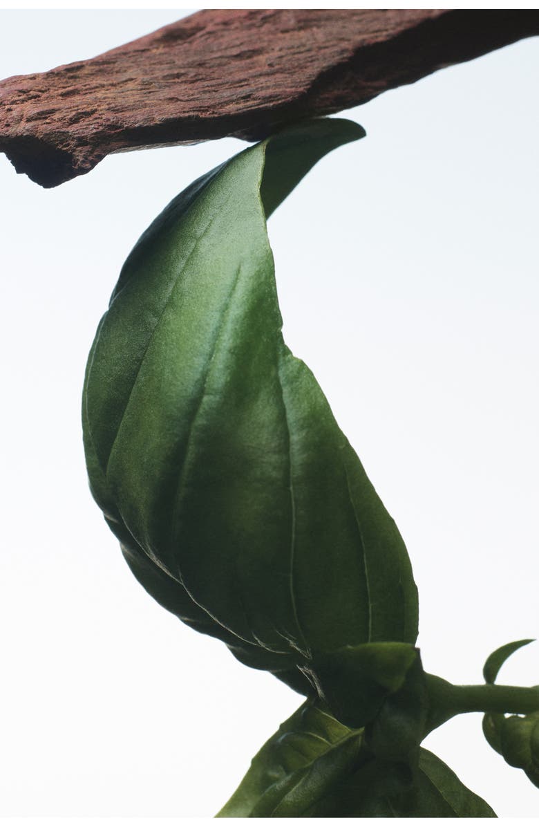 Dries Van Noten Crazy Basil Eau de Parfum, Alternate, color, 