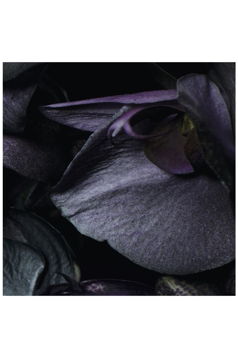 Dark Amber & Ginger Lily Cologne Intense, Alternate, color, NO COLOR