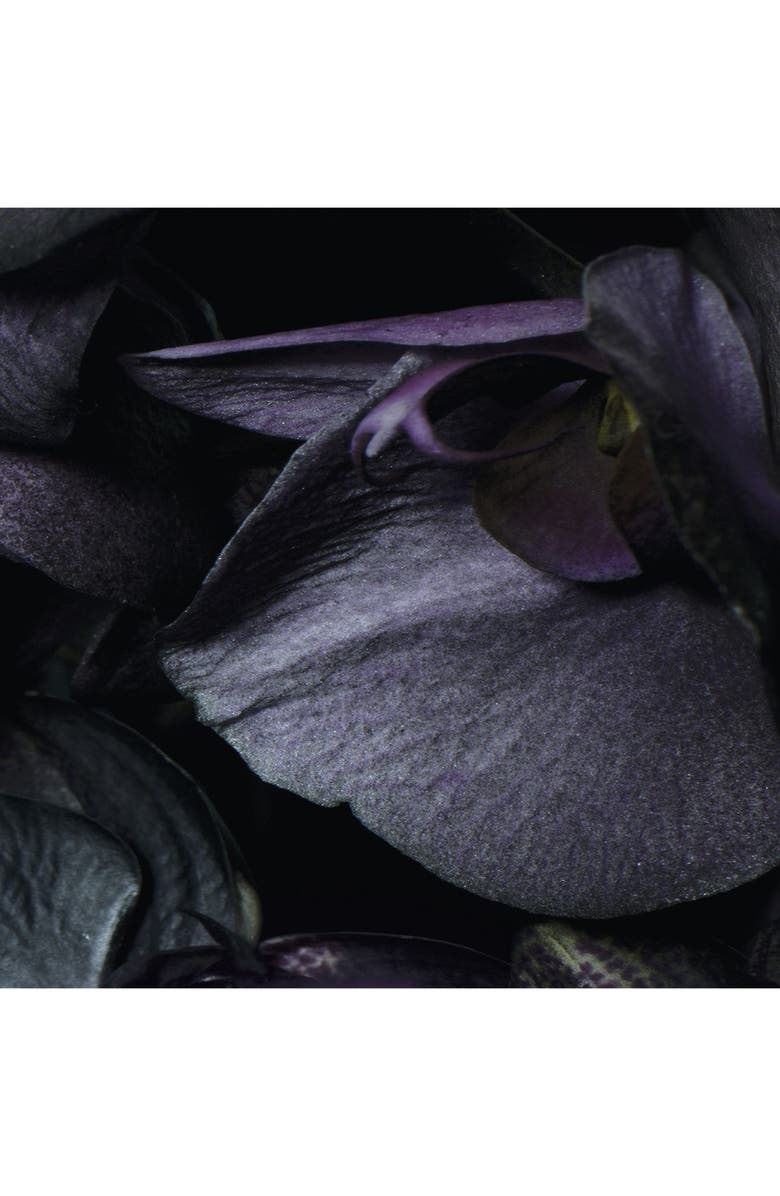 Jo Malone London<sup>™</sup> Dark Amber & Ginger Lily Cologne Intense, Alternate, color,