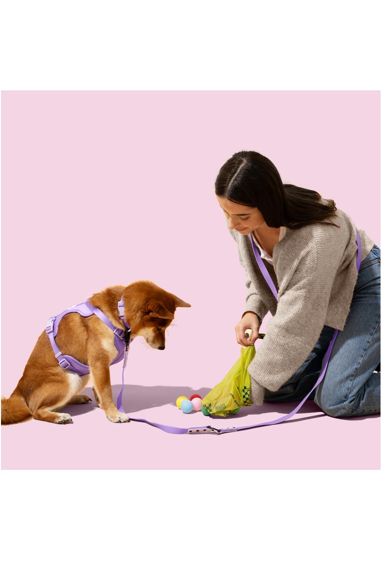 The Licker Store 13 in. x 9 in. Extra Thick Leak Proof Unscented Biodegradable Dog Poop Bags, Green, Alternate, color, Green