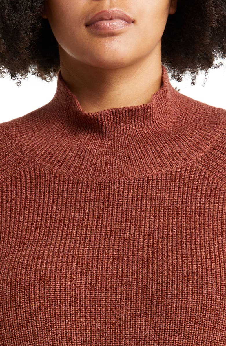 Eileen Fisher Raglan Sleeve Merino Wool Turtleneck Sweater, Alternate, color, 