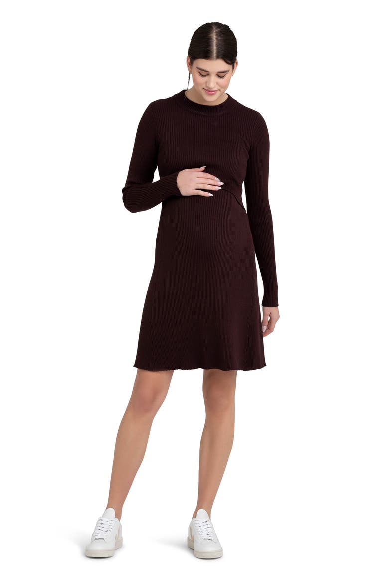 Hailey Rib Long Sleeve Maternity/Nursing Dress, Alternate, color, CHOCOLATE