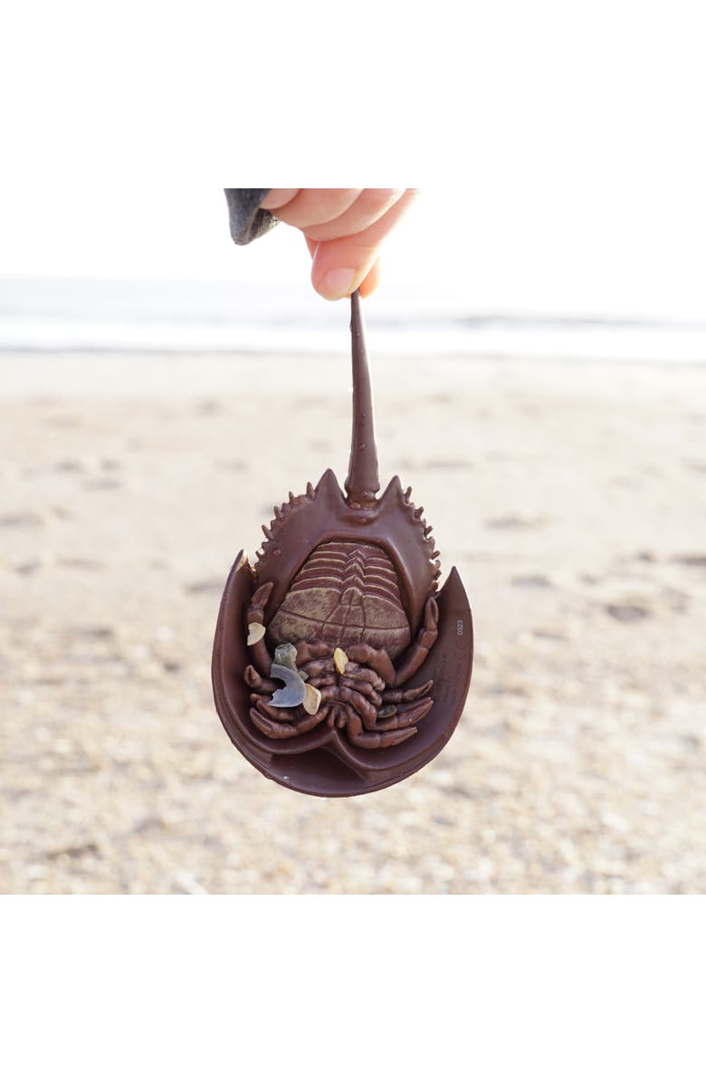 Safari Ltd. Horseshoe Crab Toy, Alternate, color, NO COLOR