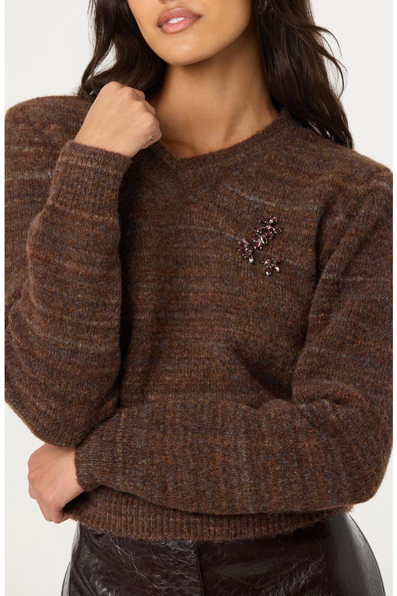Dasia Embellished V-Neck Sweater, Alternate, color, BROWN