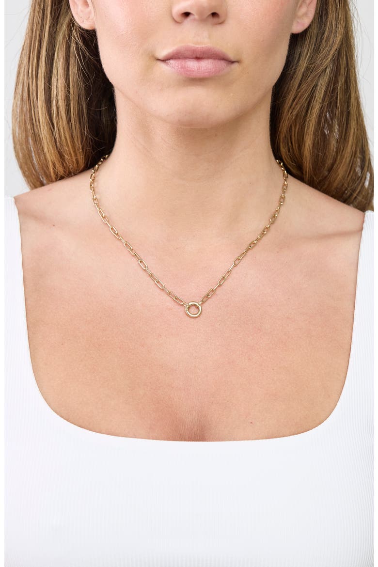14k Gold Circle Charm Holder Necklace, Alternate, color, 14K YELLOW GOLD