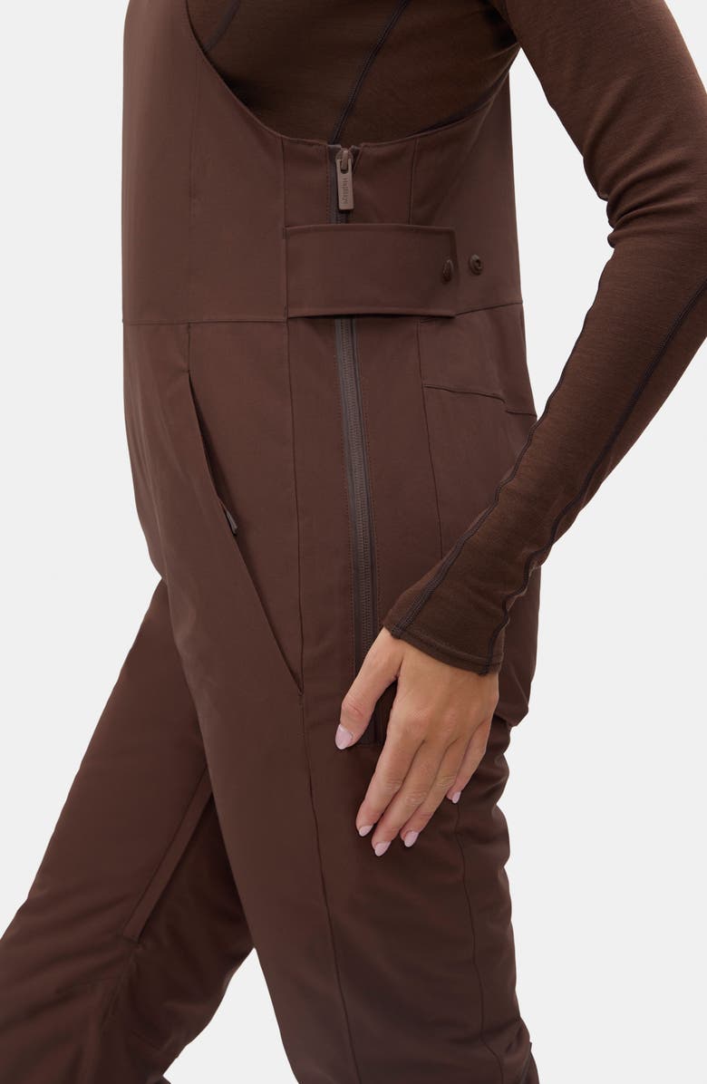 Halfdays Carson Waterproof Snow Bib Overalls, Alternate, color, Spiked Cocoa