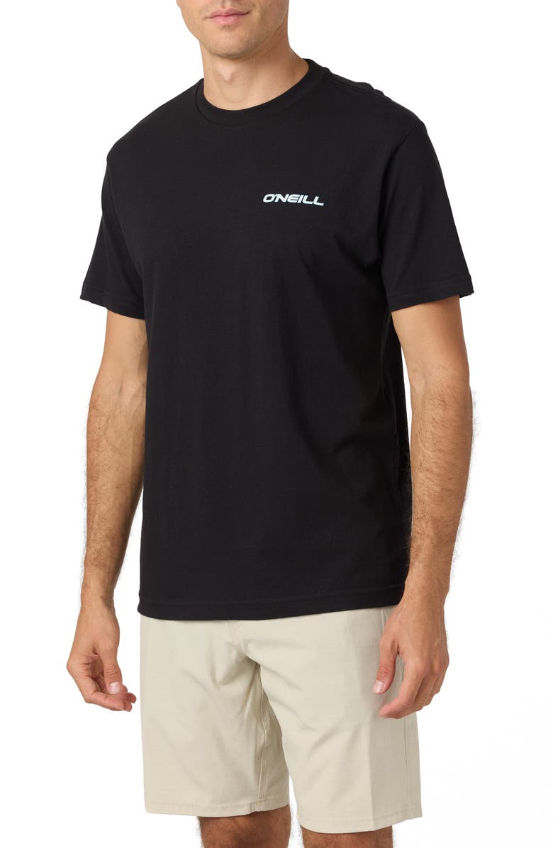 O'Neill Blended Graphic T-Shirt, Alternate, color, 