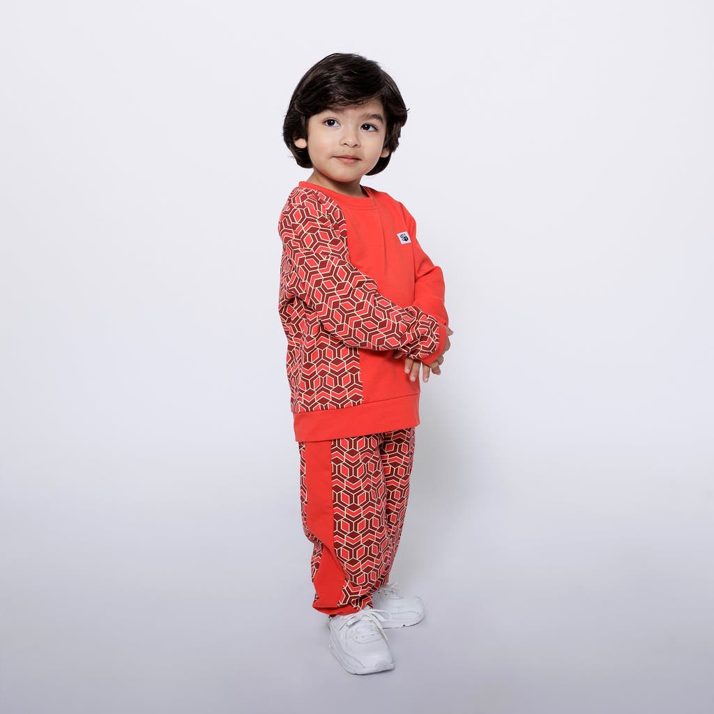 Mixed Up Clothing Baby Crewneck Sweatshirt and Jogger Pants Set in Red Multicolor  product