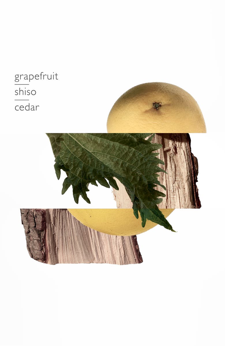 Hermès Terre d'Hermès - Pure perfume gift set, Alternate, color, 