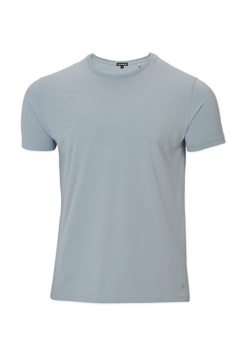 Peruvian Pima Cotton T-Shirt, Alternate, color, Sky Blue